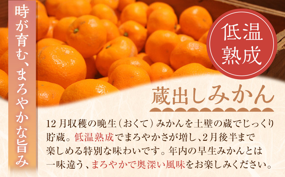 蔵出しみかん6kg《大玉》２L又は３Lサイズ【和歌山県産】昔ながらのみかん鈴木農園より農園直送｜LLサイズ ２Lサイズ 家庭用 大きいサイズ※北海道・沖縄県・一部離島 配送不可