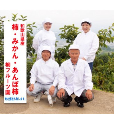 譟ソ縲仙郁。悟女莉倥第浹繝輔Ν繝シ繝蝨 縺溘ュ縺ェ縺玲涸 邏5kg縲1430458縲