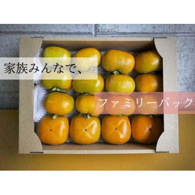 【先行受付】キタヤマ果樹園のたねなし柿　ファミリーパック(家庭用)15〜20個入り(L〜3L)【1342155】