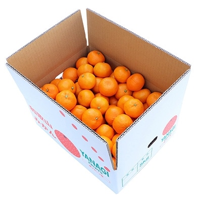 【先行受付】柳フルーツ園 大玉みかん 約5kg Lサイズ【1077825】