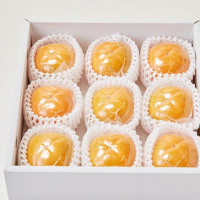 縺溘ュ縺ェ縺玲涸 (逵溽ゥコ蛹陬 )2L 9蛟句・繧翫1597972縲