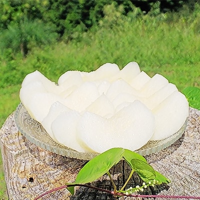 国城観光農園の梨(幸水)8個入り【配送不可地域：離島】【1077103】