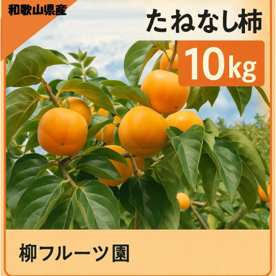 【先行予約】 たねなし柿 約10kg　【2026年秋冬配送】柳フルーツ園【1430469】