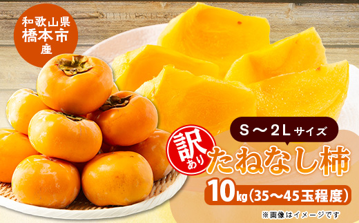 柿【先行受付】柳フルーツ園の訳ありたねなし柿　10kg【1077826】