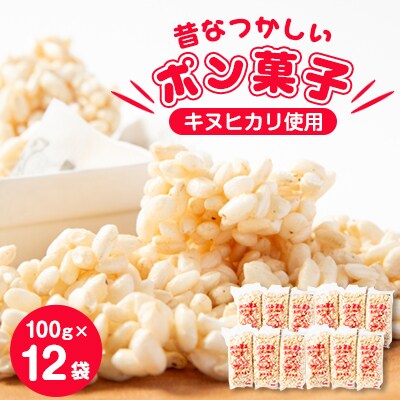 昔なつかしい　ポン菓子(100g×12袋)【1143588】