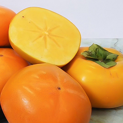 【令和8年度】柿カテゴリ上位獲得!　JAわかやま(紀北地域)のたねなし柿　7.5kg　L又は2L【1237822】