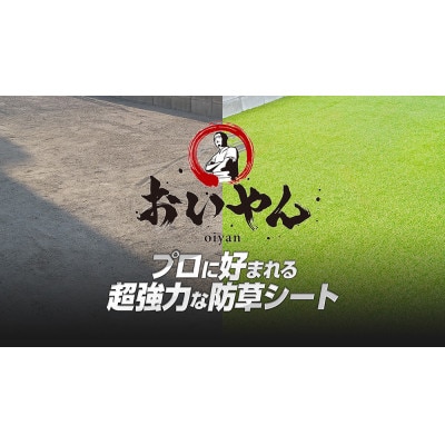 ガーデニングや庭の景観改善に使用　雑草を防ぎ草抜き作業を軽減　青々とした夏の人工芝防草シート【1314927】