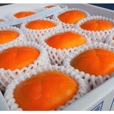 ãå
è¡åä»ã2026幎ç§é 次çºéãç§ã®å³èŠã®ãããªãæ¿(3Lãµã€ãºã10ã12å)ã1508705ã