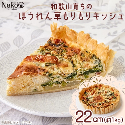 和歌山育ちのほうれん草もりもりキッシュ【配送不可地域：離島】【1483746】