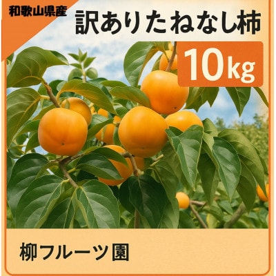 【先行受付】柳フルーツ園の訳ありたねなし柿　10kg【1077826】