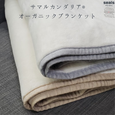 サマルカンダリア　オーガニック綿毛布　クオーターサイズ　ナチュラル・ブルー 70cm×100cm【1583867】