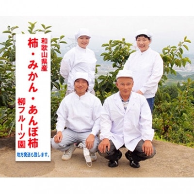 干し柿作成セット たねなし柿 [L~2Lサイズ20個] 柳フルーツ園【1713409】