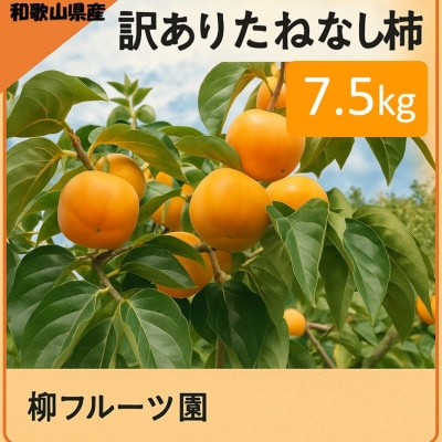 【先行受付】柳フルーツ園の訳ありたねなし柿7.5kg【1077001】