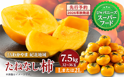 【令和8年度】柿カテゴリ上位獲得!　JAわかやま(紀北地域)のたねなし柿　7.5kg　L又は2L【1237822】