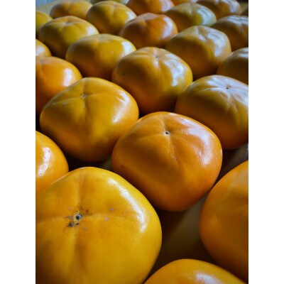 【先行受付】キタヤマ果樹園のたねなし柿　ファミリーパック(家庭用)15〜20個入り(L〜3L)【1342155】