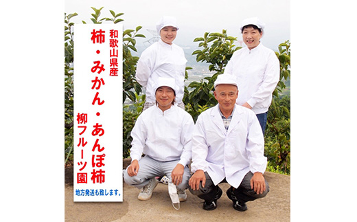 あんぽ柿【先行受付】柳フルーツ園「紀州手作り　あんぽ柿」30個入り【配送不可地域：離島】【1077178】