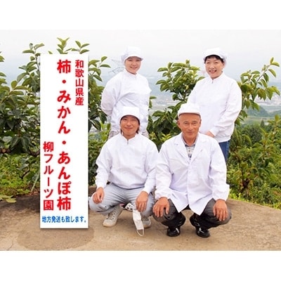 ããããœæ¿ãæ³ãã«ãŒãåã®ãçŽå·æäœãããããœæ¿ã24åå
¥ããé
éäžå¯å°åïŒé¢å³¶ãã1077179ã