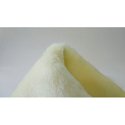 繧「繧ヲ繝医Λ繧ケ繝医ヵ繧。繝シ繝悶Λ繝ウ繧ア繝繝 (鮟)縲1098231縲