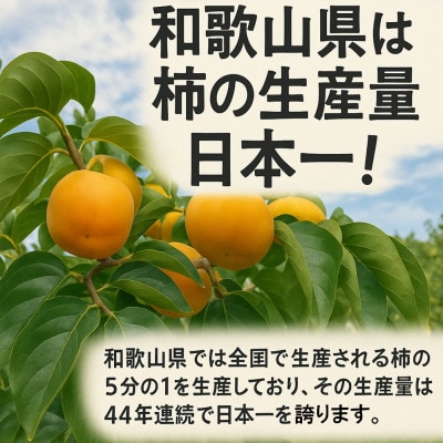 【先行受付】柳フルーツ園 干し柿セット 約5kg【1457269】