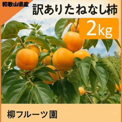 【先行予約】たねなし柿(訳あり) 約2kg【2026年秋冬配送】柳フルーツ園【1430462】