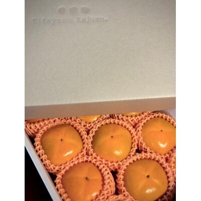 【先行受付】キタヤマ果樹園のたねなし柿　9〜12個(2L〜3L)オリジナル化粧箱入り(シルバー箱)【1340656】