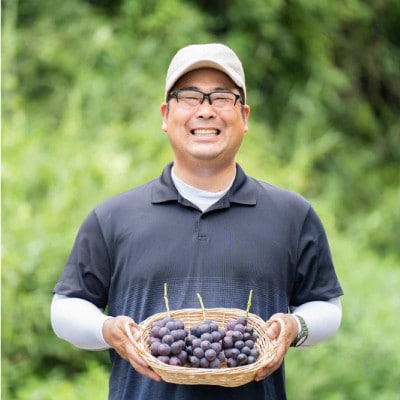 ã2026幎å€çºéãã詊ããµã€ãºçŽ1kgãæ¢
ç°èŸ²åã®çš®ç¡ãå·šå³°ãæ¥å£åå
è¡åä»ãé
éäžå¯å°åïŒé¢å³¶ãã1642883ã