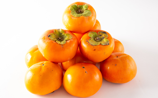 åæå±±çç£ãçŸæ¿èŸ²åã®å¯ææ¿ããå®¶åºçšã12å(2Lãµã€ãºçšåºŠ)ãé
éäžå¯å°åïŒé¢å³¶ã»åæµ·éã»æ²çžçãã1253533ã