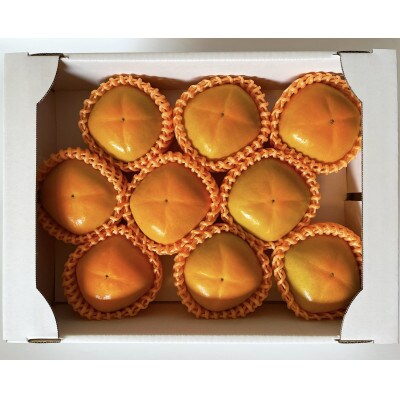 ãå
è¡åä»ããã¿ã€ãææš¹åã®ãããªãæ¿ã9ã12å(2Lã3L)ãªãªãžãã«åç²§ç®±å
¥ã(ãªã¬ã³ãžç®±)ã1342132ã