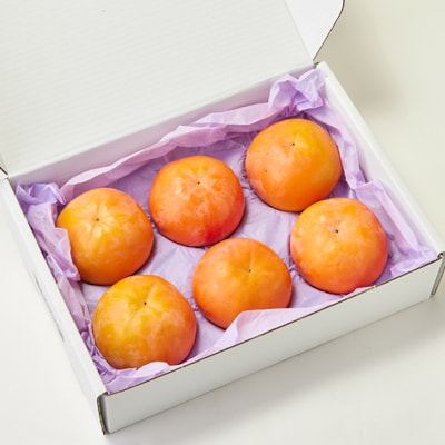 【先行予約】匠果樹園 富有柿【秀品】白紫箱 2Lまたは3Lサイズ【2026年11月〜12月発送】【1473510】