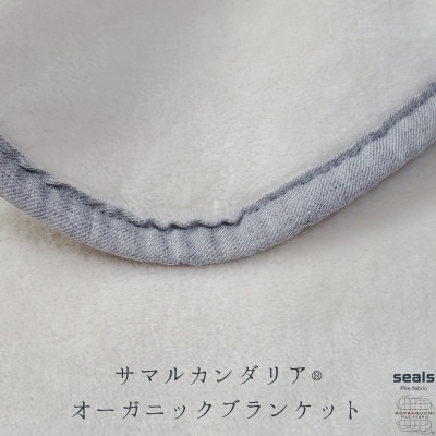 サマルカンダリア　オーガニック綿毛布　ハーフケット　ナチュラル・ブルー 140cm×100cm【1583862】