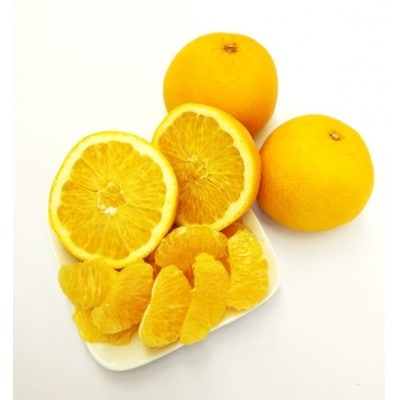 和歌山県産　美濃農園のはっさく 約5kg(皮をむく道具付き)【1272362】