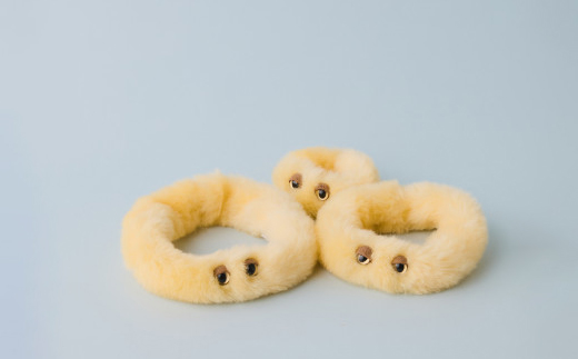 粘菌の森(ぬいぐるみ)　ヘビヌカホコリ【1639111】