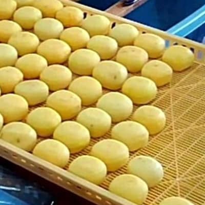 ããããœæ¿ãæ³ãã«ãŒãåã®ãçŽå·æäœãããããœæ¿ã16åå
¥ã(4åå
¥ãÃ4ããã¯)ãé
éäžå¯å°åïŒé¢å³¶ãã1215941ã