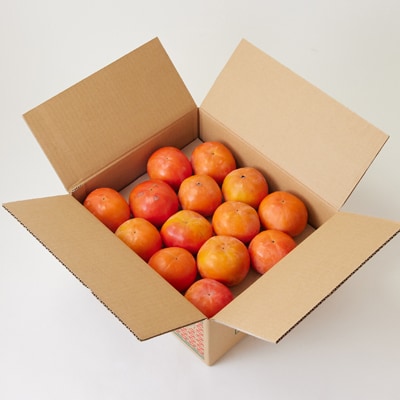 国城観光農園の富有柿(家庭用・訳あり)約7.5kg【1281482】