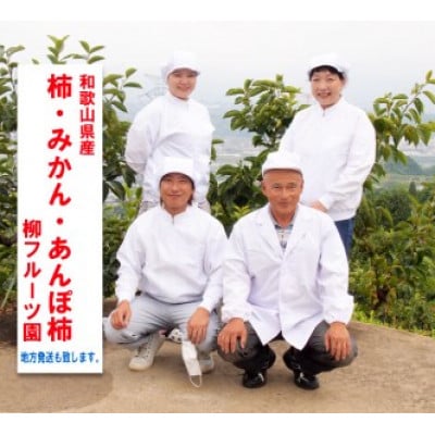 柿【先行予約】たねなし柿(訳あり) 約2kg【2026年9月以降配送】柳フルーツ園【1430462】