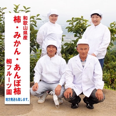 【あんぽ柿】　柳フルーツ園の「紀州手作り　あんぽ柿」フルーツギフト【配送不可地域：離島】【1021103】