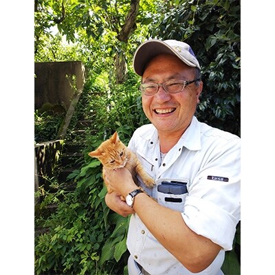 【2026年度発送分】国城観光農園のたねなし柿12個入り(3Lサイズ)【配送不可地域：北海道・沖縄県】【1110574】