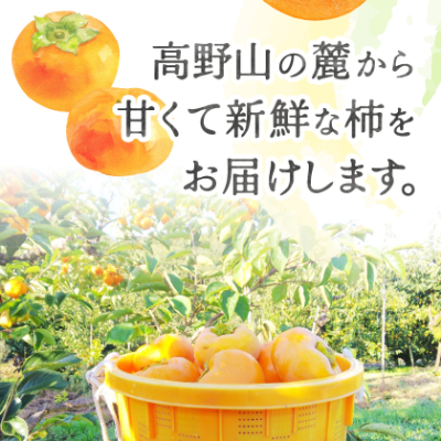 ケーズファーム　富有柿　M　14個程度(約2.8kg)【1135662】