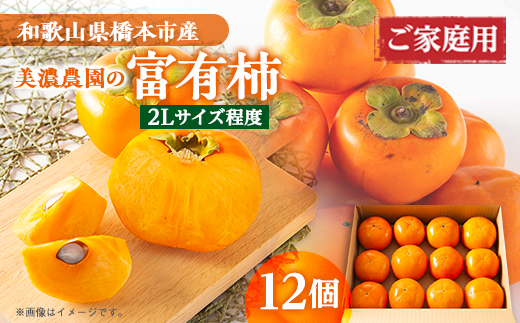 åæå±±çç£ãçŸæ¿èŸ²åã®å¯ææ¿ããå®¶åºçšã12å(2Lãµã€ãºçšåºŠ)ãé
éäžå¯å°åïŒé¢å³¶ã»åæµ·éã»æ²çžçãã1253533ã