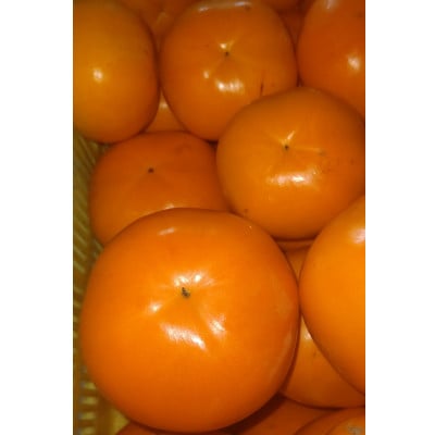 【2026年配送分】紀州てまり　9個〜12個入　約3kg【1486503】