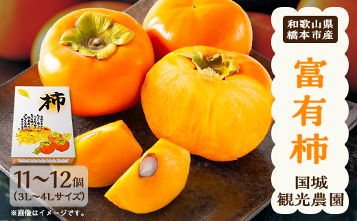 åœå芳å
蟲åã®å¯ææ¿11ã12å(3ã4L)ã1077106ã