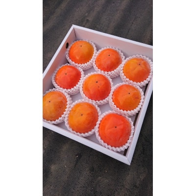 国城観光農園の富有柿9個入り(2Lサイズ)【1087791】