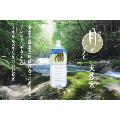 【毎月定期便】ミネラルウォーター　月のしずく2L×6本入 全12回【4011446】