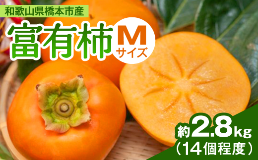 ケーズファーム　富有柿　M　14個程度(約2.8kg)【1135662】