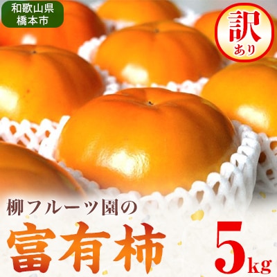 【先行受付】柳フルーツ園の訳あり富有柿　5kg【1077827】