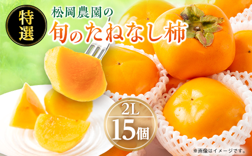 【2026年秋より順次発送】旬のたねなし柿　特選2Lサイズ(15個入り)【配送不可地域：離島・北海道・沖縄県】【1512962】