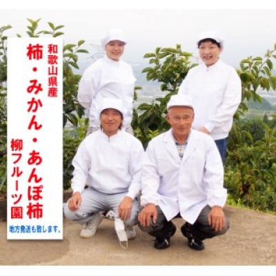 柿【先行受付】柳フルーツ園(訳あり)たねなし柿 約7.5kg【1077001】