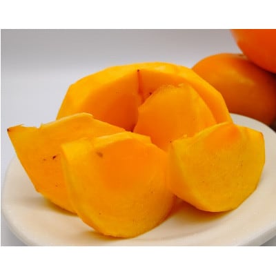 ãå
è¡åä»ã2026幎ç§é 次çºéãç§ã®å³èŠã®ãããªãæ¿(3Lãµã€ãºã10ã12å)ã1508705ã