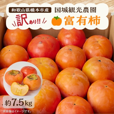 国城観光農園の富有柿(家庭用・訳あり)約7.5kg【1281482】