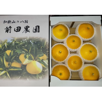 【特別栽培】和歌山県産　贈答用　八朔3L(8個入り)【1640099】